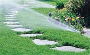 Garden Irrigation services 