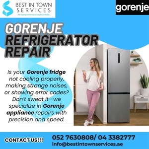Gorenje Refrigerator Repair Services 
