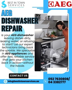 AEG Dishwasher Repair Services 