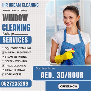 Window Cleaning Services
