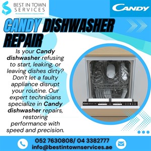 Candy Dishwasher Repair Services 