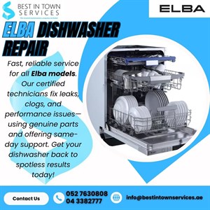 Elba Dishwasher Repair Services 