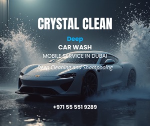 Deep Cleaning and Shampooing