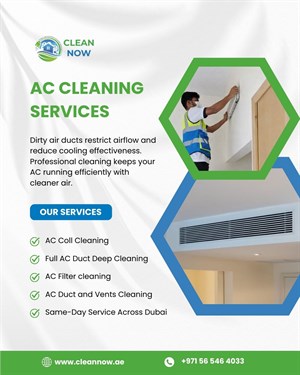 Professional AC Cleaning Service Dubai