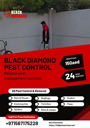 Pest Control Abu Dhabi