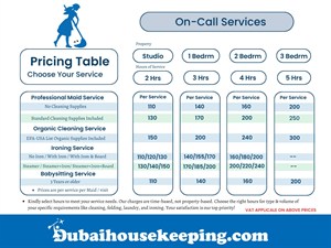 Professional Cleaning Service
