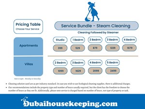 Steam Cleaning Services